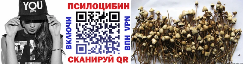 Купить Ковров Псилоцибиновые грибы ЛСД